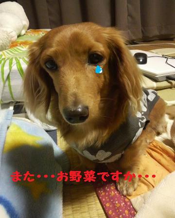 棒らーめん日和♪