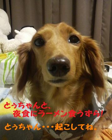 棒らーめん日和♪
