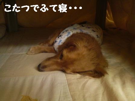 雨の土曜日・・・