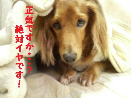 雨の土曜日・・・