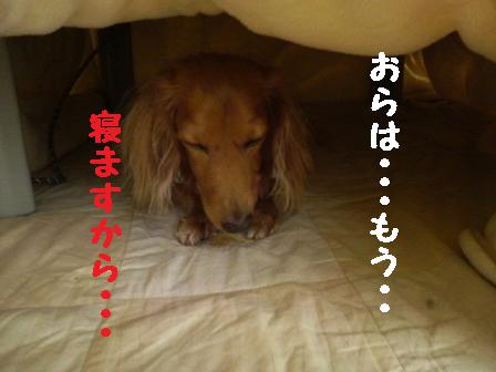 雨の土曜日・・・