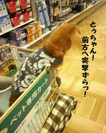ホームセンター♪