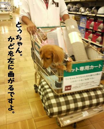ホームセンター♪