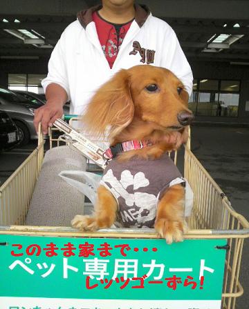 ホームセンター♪
