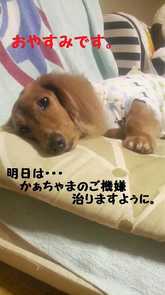 おやすみぶぅ♪