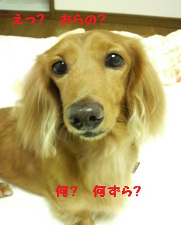 お届けものです♪