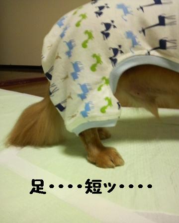 お届けものです♪