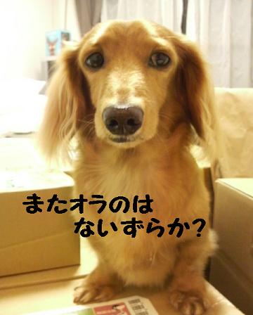 怒られた・・・