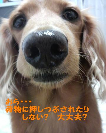 それゆけ♪あ～ちゃん号☆