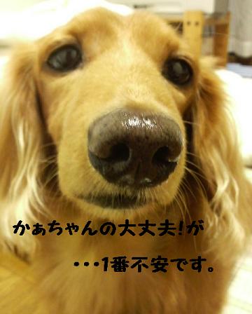 それゆけ♪あ～ちゃん号☆
