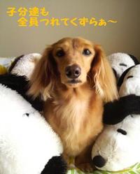 キャンプだ♪　ほぃ♪ 2010/10/08 11:40:32