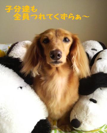 キャンプだ♪　ほぃ♪