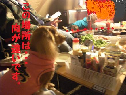 森の週末♪その２