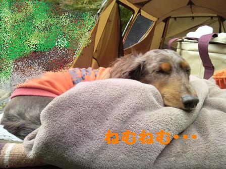 森の週末♪その２