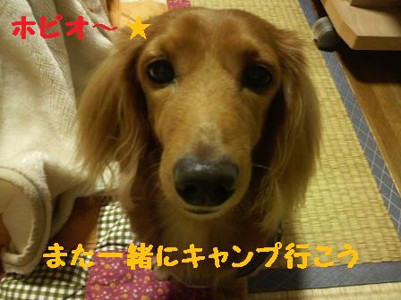 ホピオとあちゃる♪