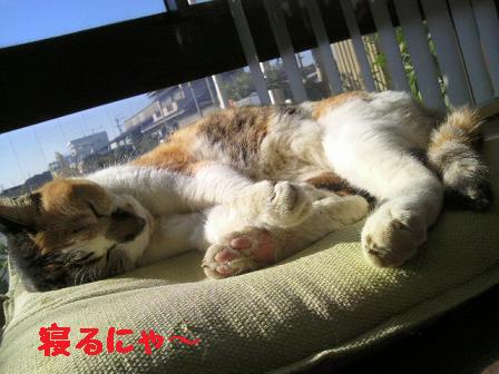 片思い・・・