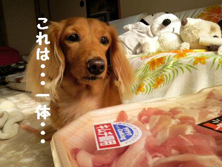 メガですよ・・・♪