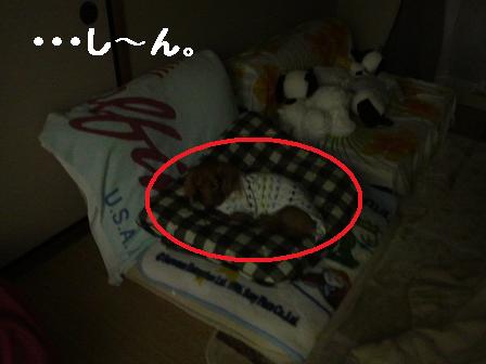かぁちゃまが帰ってくると・・・