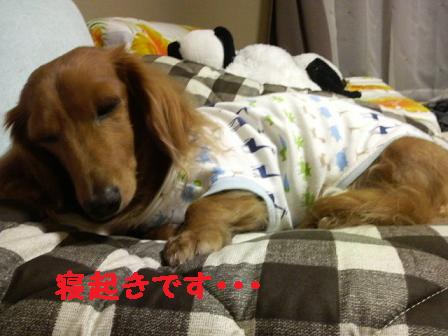 かぁちゃまが帰ってくると・・・