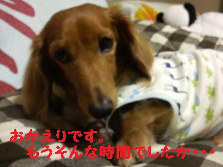 かぁちゃまが帰ってくると・・・