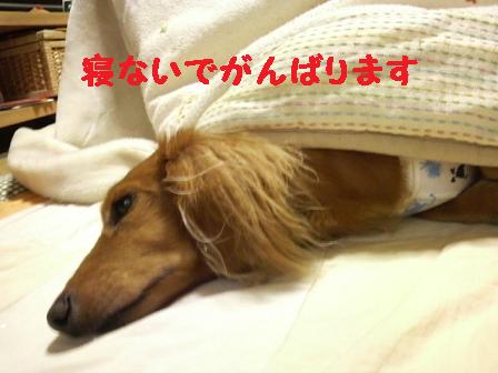 寝たくないのに・・・