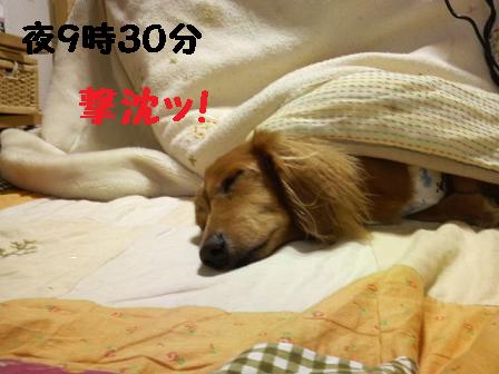 寝たくないのに・・・