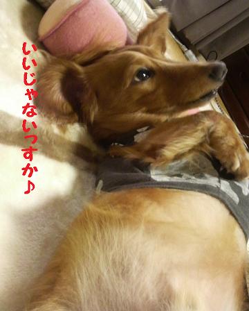 寝心地・・・♪
