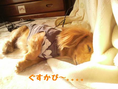 ぐぅたらな日曜日。