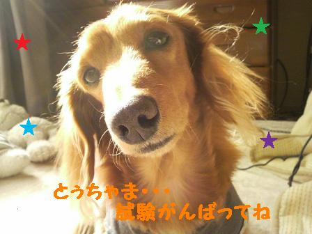 ぐぅたらな日曜日。