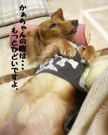 寝心地・・・♪