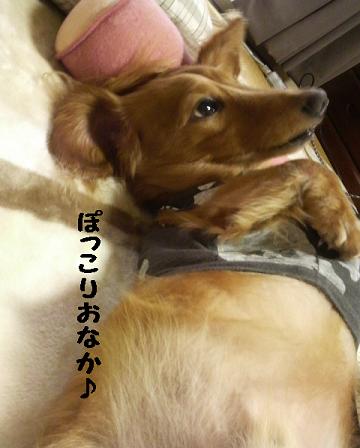 寝心地・・・♪
