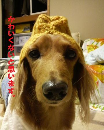 かぁちゃま作。