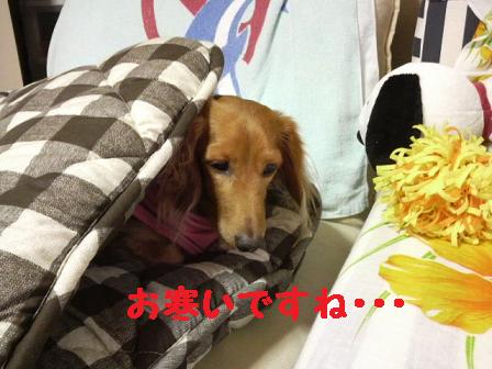 ひさびさ発作・・・