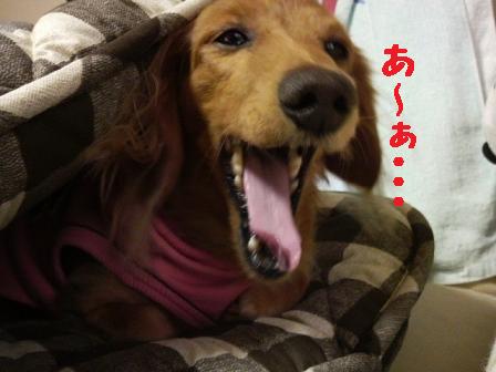 ひさびさ発作・・・
