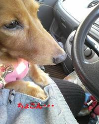ドライブ♪ 2010/11/03 14:48:26