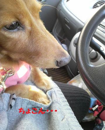 ドライブ♪