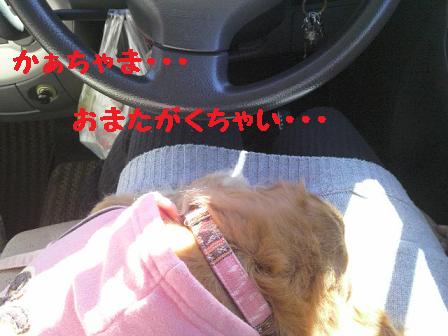 ドライブ♪