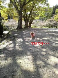 滝沢キャンプ場の報告♪ 2010/11/03 15:31:18