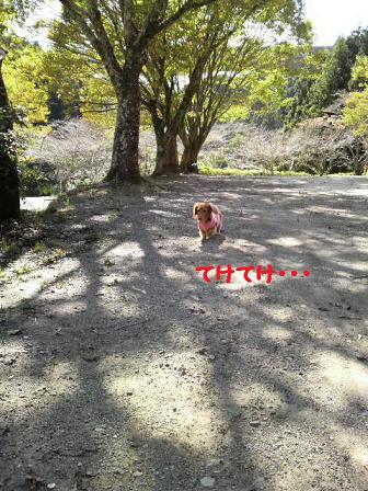 滝沢キャンプ場の報告♪