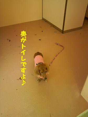 滝沢キャンプ場の報告♪