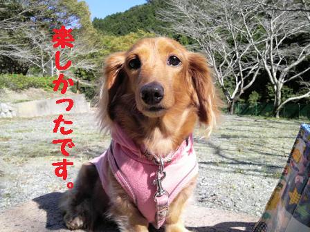 滝沢キャンプ場の報告♪