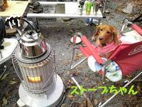 森の週末♪ 2010/11/08 20:21:58