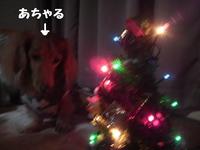 いつの間にか１２月・・・ 2010/12/06 19:53:03