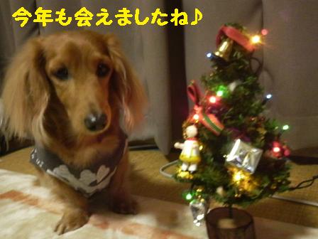 いつの間にか１２月・・・