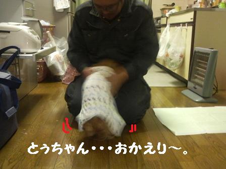 とぅちゃんが帰ってくると・・・