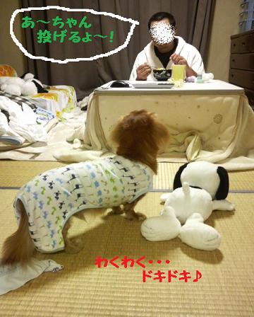 とぅちゃんが帰ってくると・・・