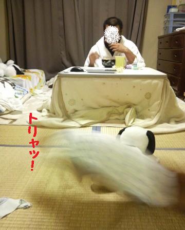 とぅちゃんが帰ってくると・・・