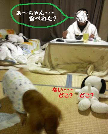 とぅちゃんが帰ってくると・・・