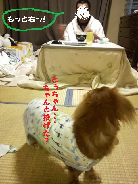 とぅちゃんが帰ってくると・・・
