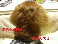 くるくる・・・♪ 2010/12/08 19:49:51